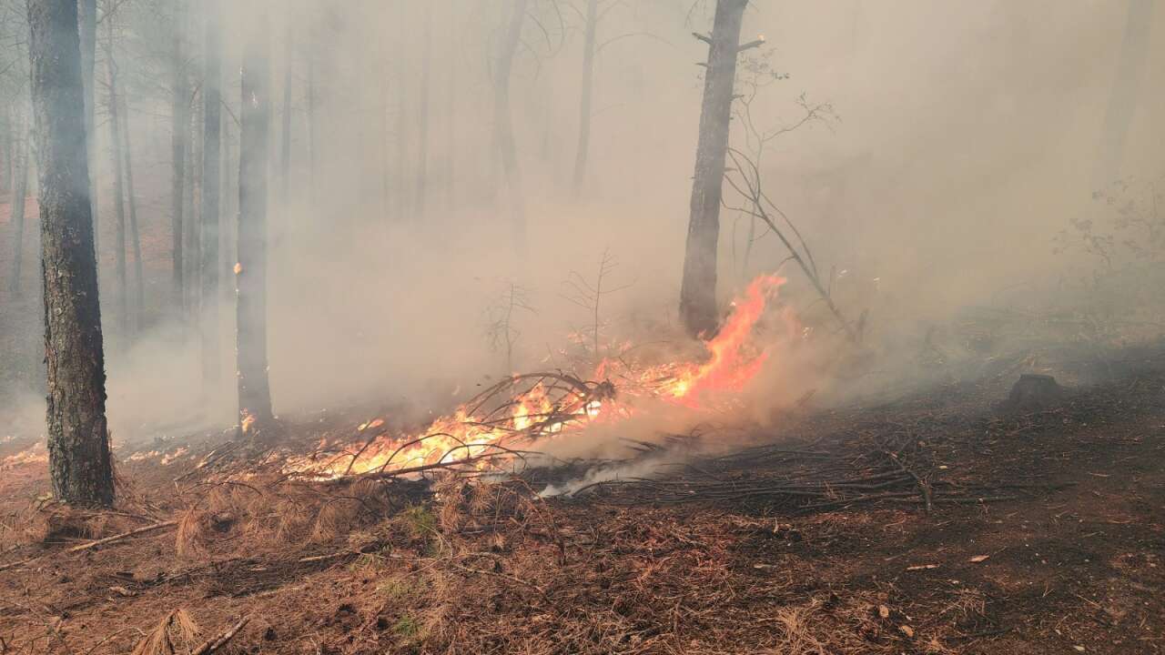 Muğla ve Aydın’da 2025’te 429 Yangın! 3 Bin 800 Dönüm Alan Kül Oldu 9